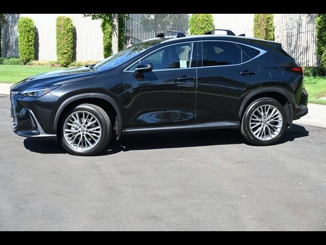 2025 Lexus NX 350h Premium