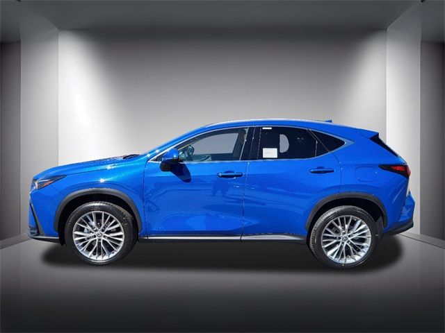 2025 Lexus NX 350h Premium