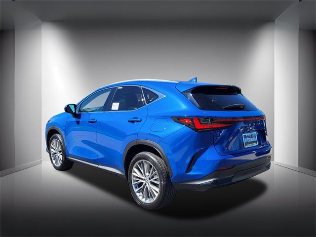 2025 Lexus NX 350h Premium