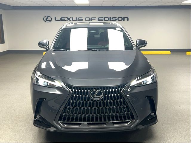 2025 Lexus NX 350h Premium