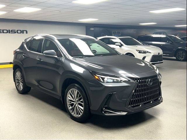 2025 Lexus NX 350h Premium