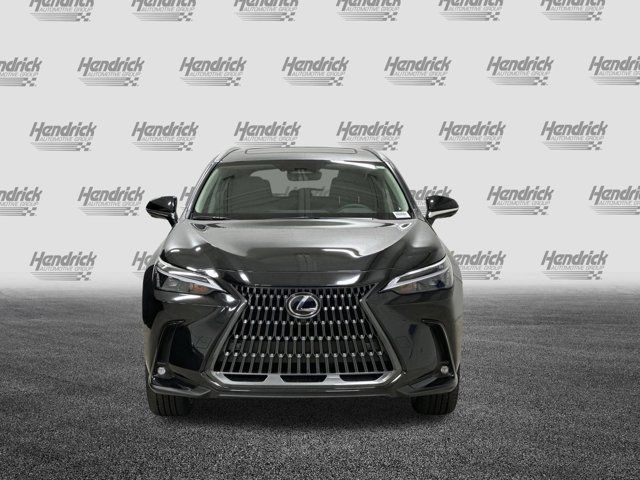 2025 Lexus NX 350h Premium