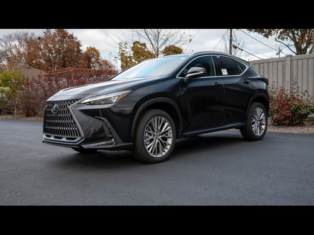 2025 Lexus NX 350h Premium