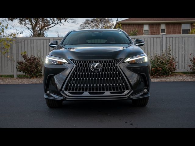 2025 Lexus NX 350h Premium