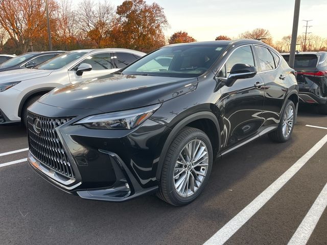 2025 Lexus NX 350h Premium