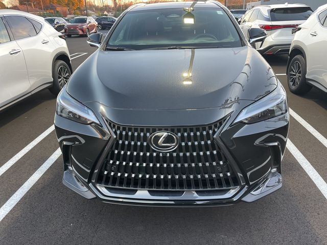 2025 Lexus NX 350h Premium