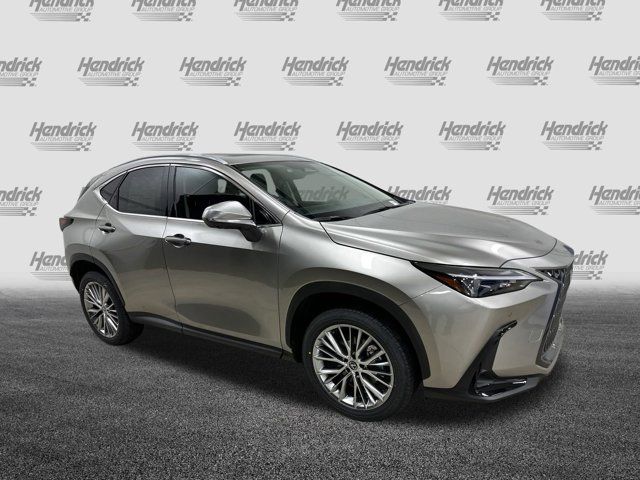 2025 Lexus NX 350h Premium