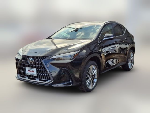 2025 Lexus NX 350h Premium