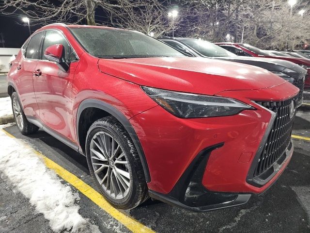 2025 Lexus NX 350h Premium