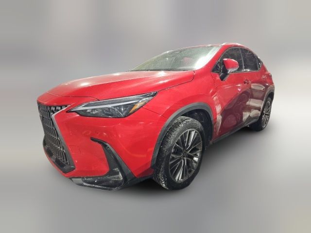 2025 Lexus NX 350h Premium