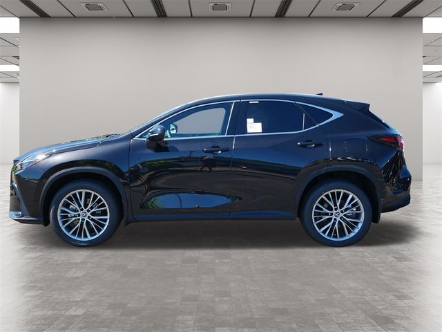 2025 Lexus NX 350h Premium