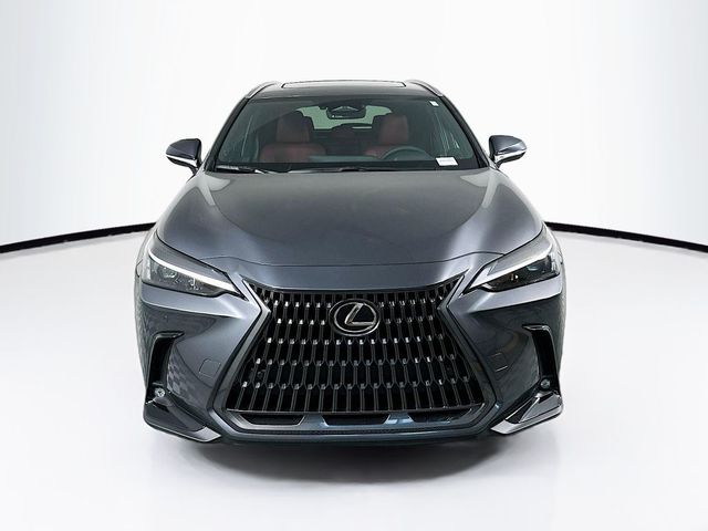 2025 Lexus NX 350h Premium