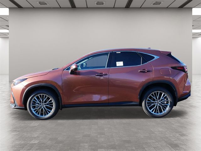 2025 Lexus NX 350h Premium