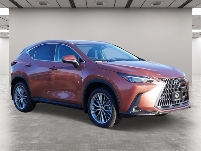 2025 Lexus NX 350h Premium