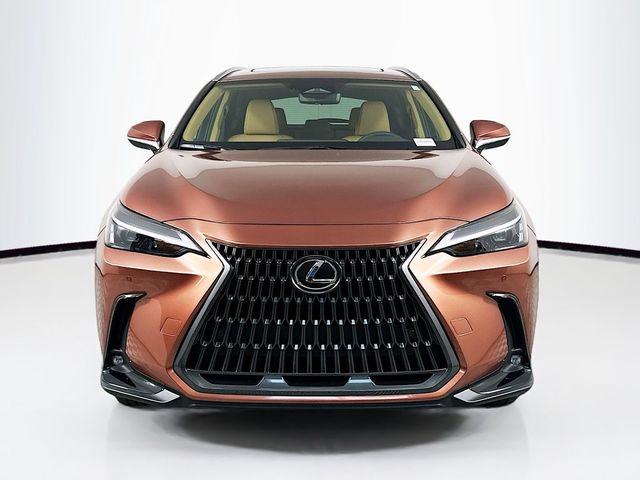 2025 Lexus NX 350h Premium