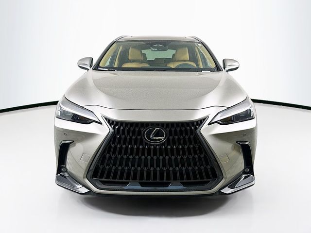 2025 Lexus NX 350h Premium