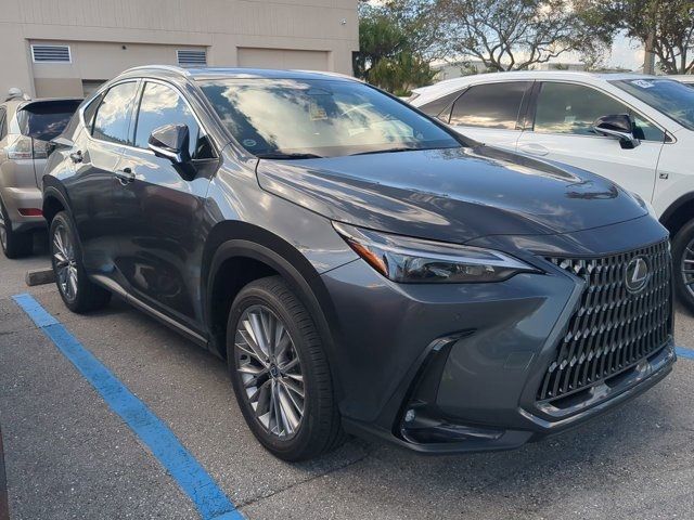 2025 Lexus NX 350h Premium