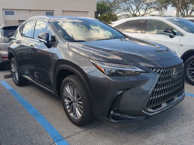 2025 Lexus NX 350h Premium