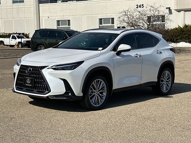2025 Lexus NX 350h Premium