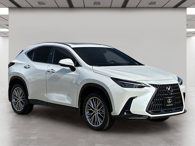 2025 Lexus NX 350h Premium