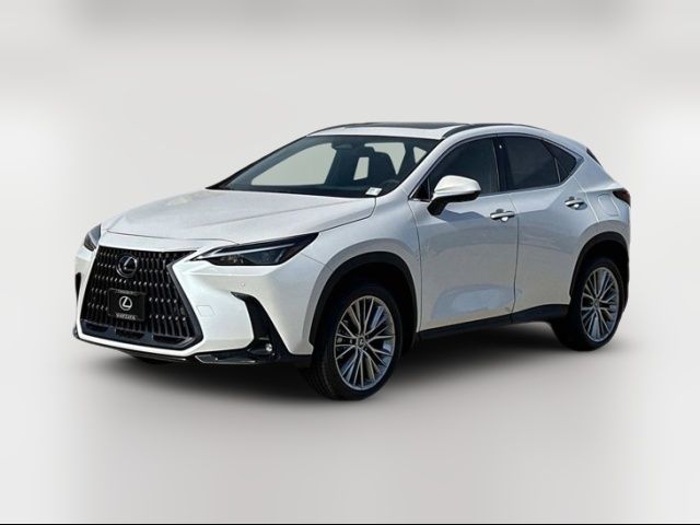 2025 Lexus NX 350h Premium