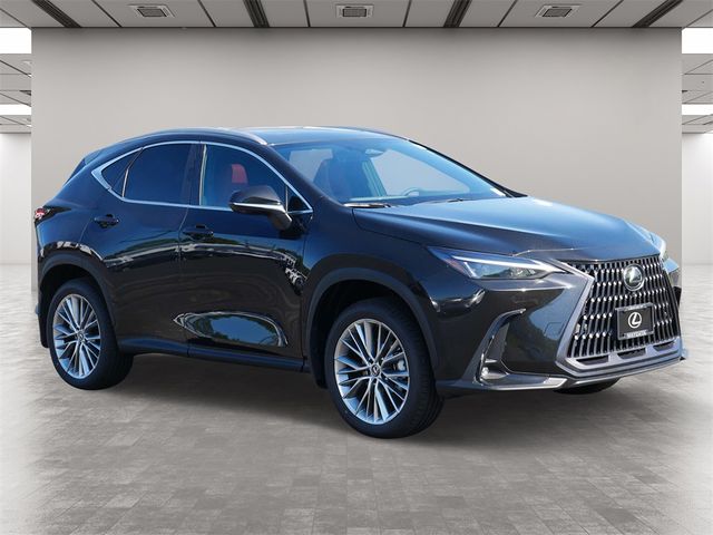 2025 Lexus NX 350h Premium