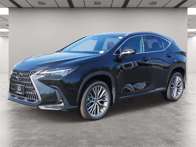 2025 Lexus NX 350h Premium