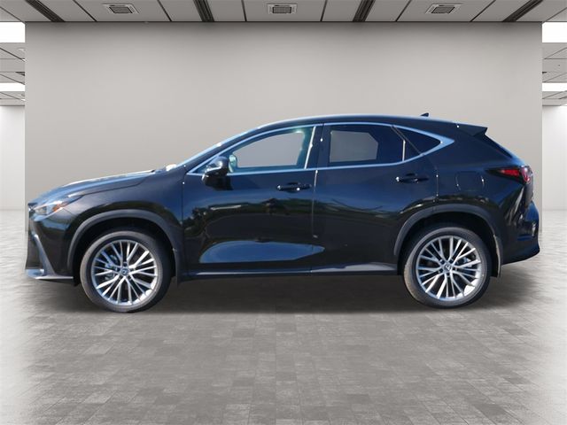 2025 Lexus NX 350h Premium