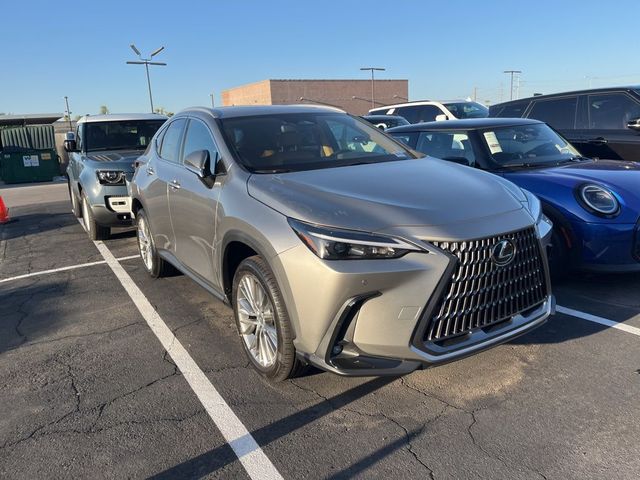 2025 Lexus NX 350h Premium