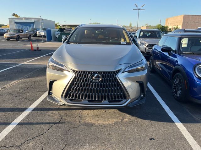 2025 Lexus NX 350h Premium