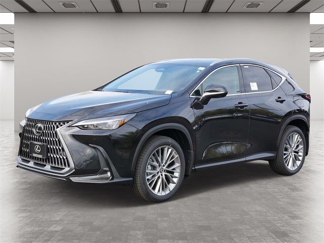 2025 Lexus NX 350h Premium