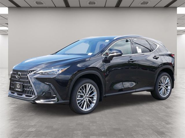 2025 Lexus NX 350h Premium