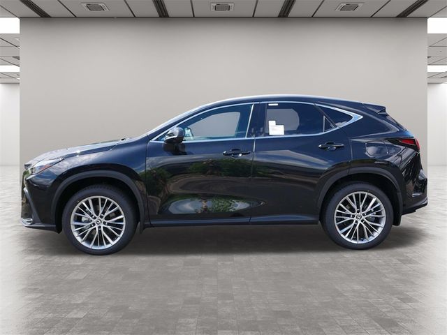 2025 Lexus NX 350h Premium