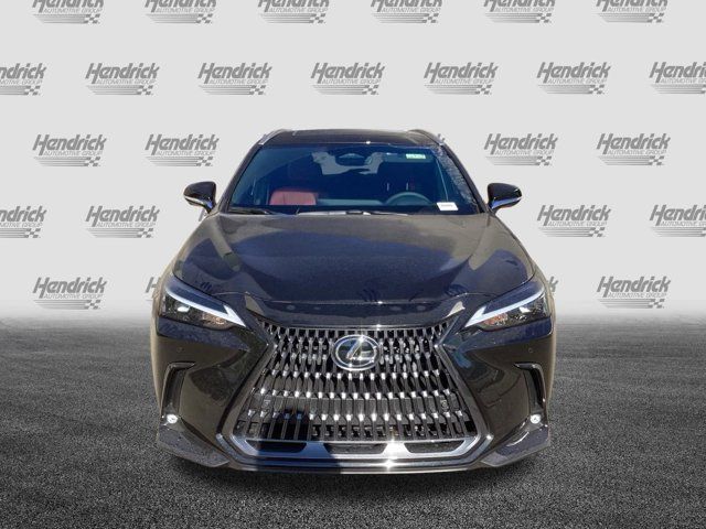 2025 Lexus NX 350h Premium