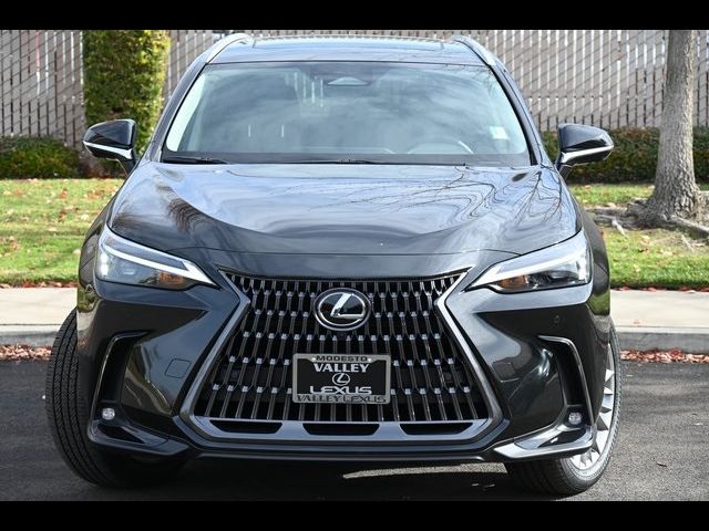 2025 Lexus NX 350h Premium