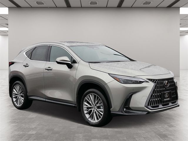 2025 Lexus NX 350h Premium