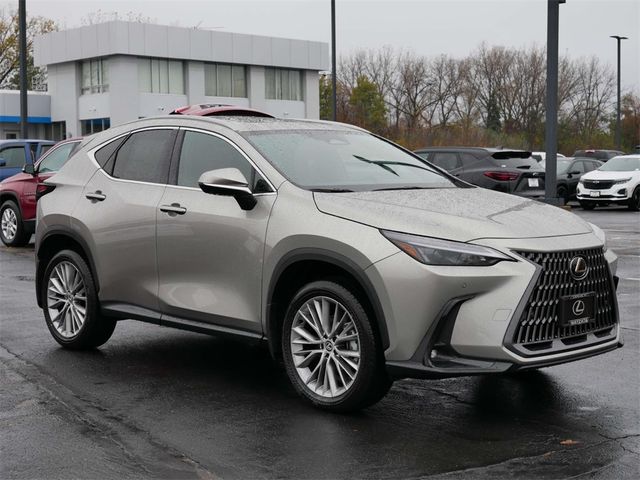 2025 Lexus NX 350h Premium