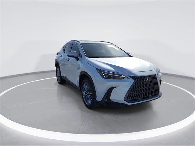 2025 Lexus NX 350h Premium