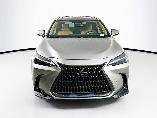 2025 Lexus NX 350h Premium