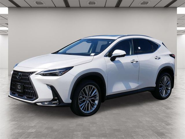 2025 Lexus NX 350h Premium