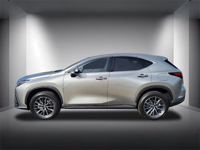 2025 Lexus NX 350h Premium