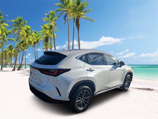 2025 Lexus NX 350h Premium