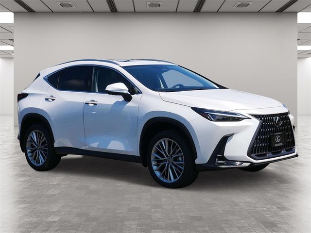 2025 Lexus NX 350h Premium