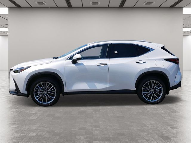 2025 Lexus NX 350h Premium