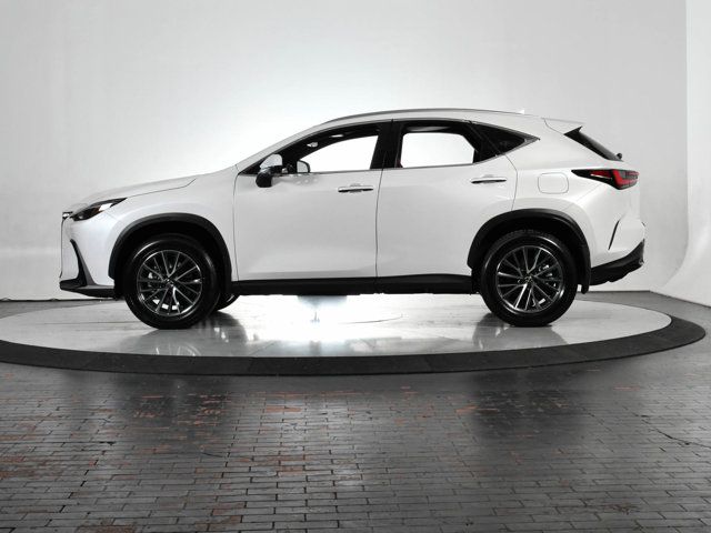 2025 Lexus NX 350h Premium