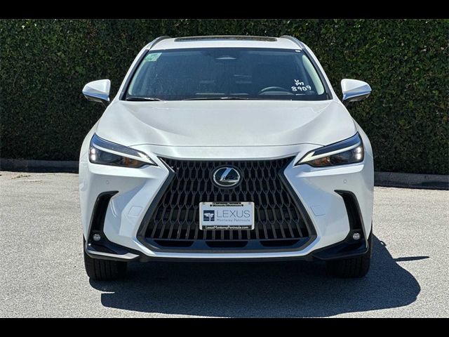 2025 Lexus NX 350h Premium