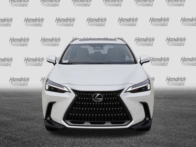 2025 Lexus NX 350h Premium