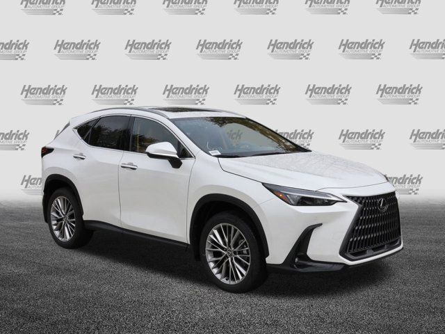 2025 Lexus NX 350h Premium