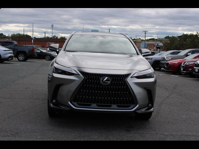 2025 Lexus NX 350h Premium
