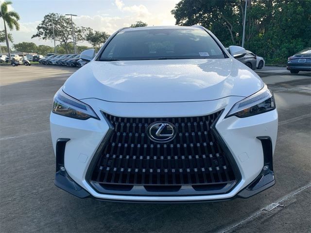 2025 Lexus NX 350h Premium